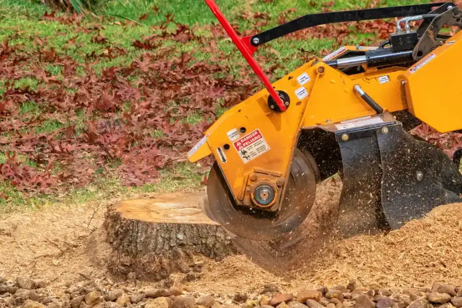 Experienced Tree Stump Grinding Los Banos, CA Experienced Tree Stump Grinding Los Banos, CA