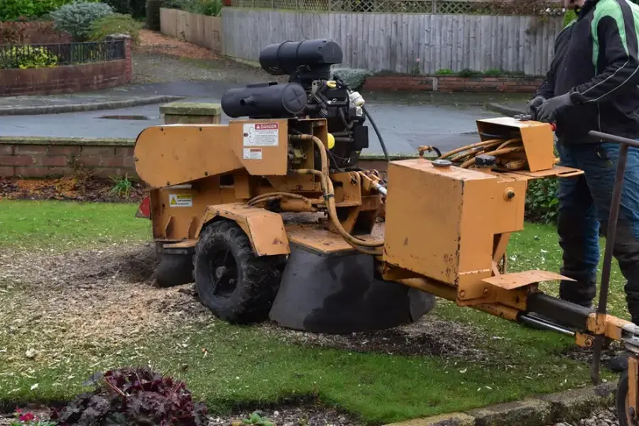 Why Tree Stump Grinding Is Important For Your Landscape Los Banos, CA