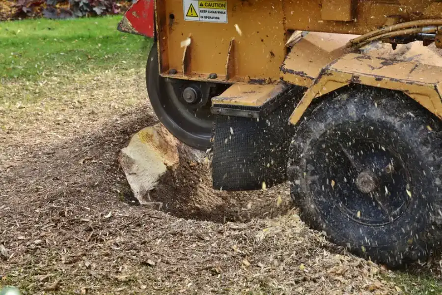 Why Tree Stump Grinding Is Important For Your Landscape in Los Banos, CA